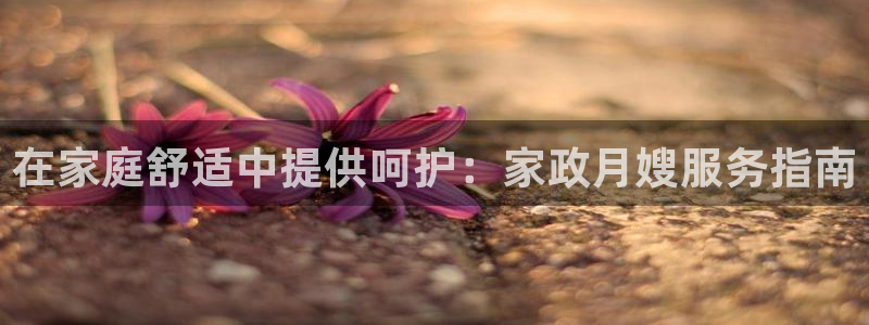 杏悦平台代理多少钱
