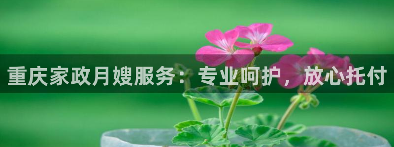 杏悦平台代理注册