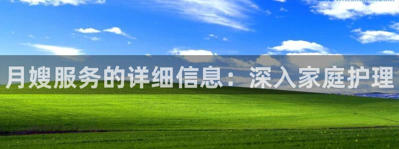 杏悦平台可靠吗可信吗安全吗