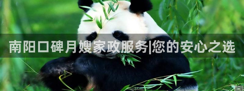 杏悦娱乐注册平台官网