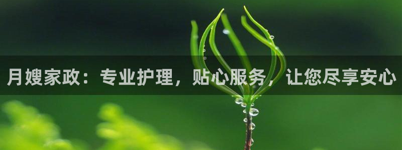 杏悦平台注册地址