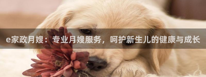 杏悦登陆地址