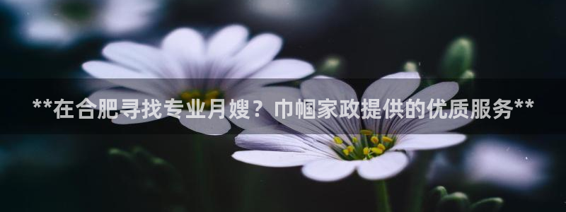 杏悦官方平台