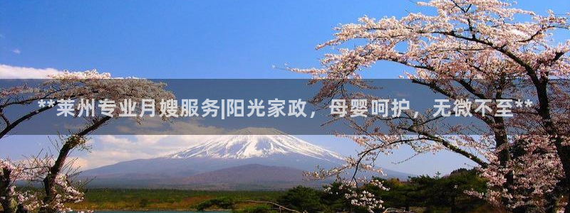 杏悦官网登录入口网址