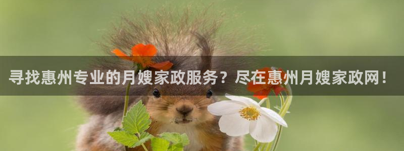 杏悦平台登陆