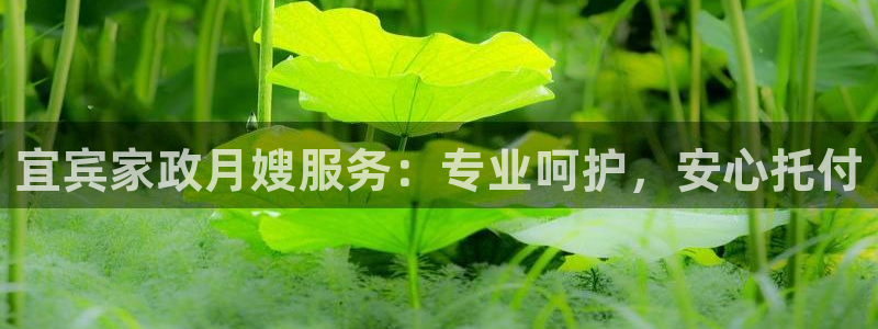 杏悦登陆地址