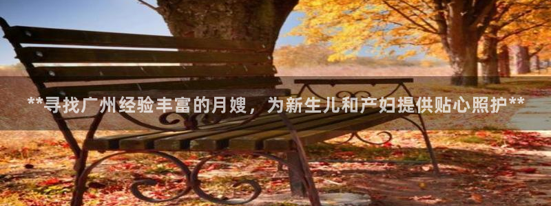 杏悦官网注册信息是什么样的