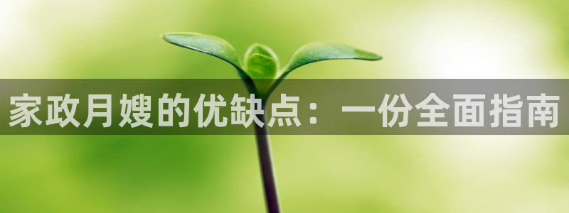 杏悦平台代理怎么样啊