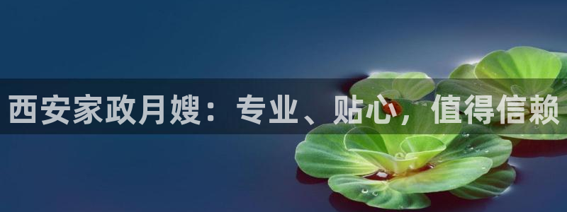 杏悦平台代理怎么样