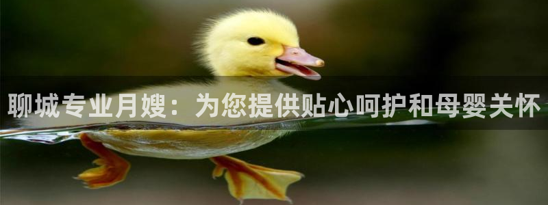 杏悦平台注册地址在哪里