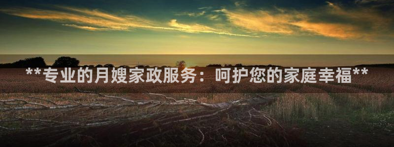 杏悦平台代理