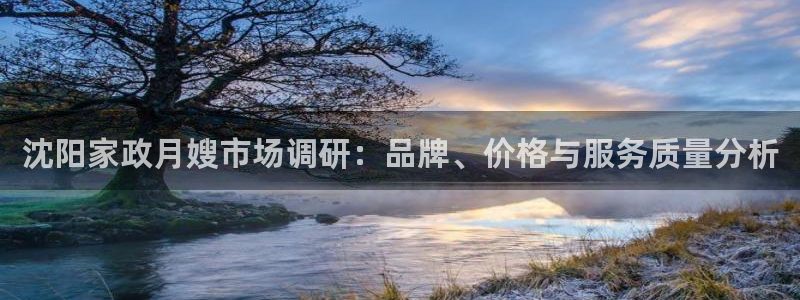 杏悦平台