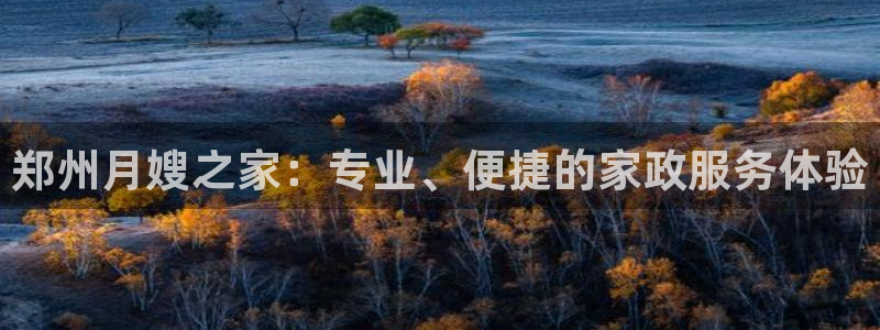 杏悦平台代理怎么做