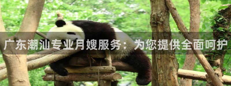 杏悦官方平台