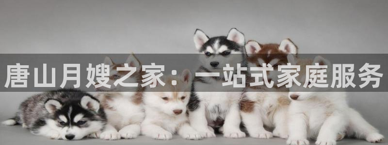 杏悦娱乐怎么玩