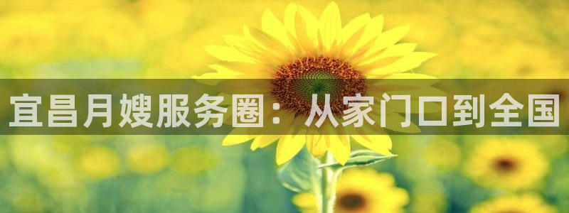 杏悦平台可靠吗是真的吗