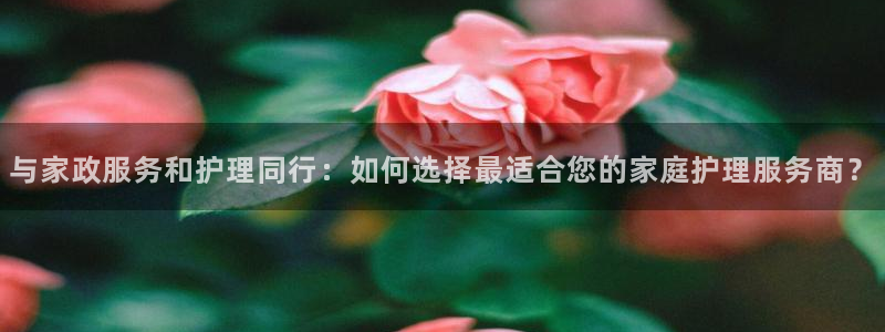 杏悦 -首选推荐平台