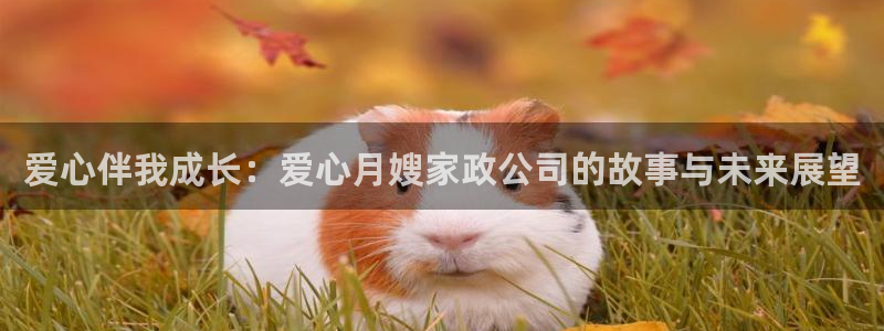 杏悦1招商地址