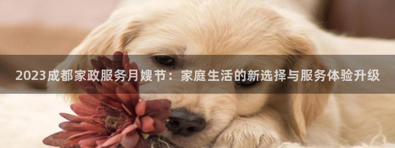 杏悦平台代理怎么赚钱的