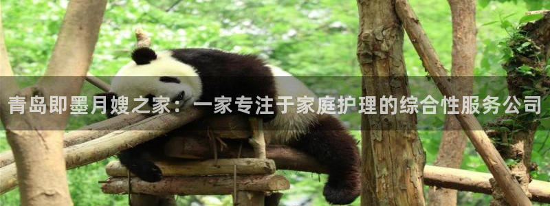 杏悦平台开户地址是什么