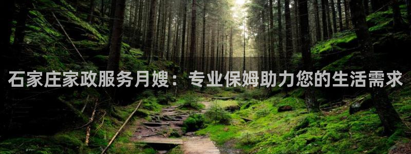 杏悦平台代理多少钱