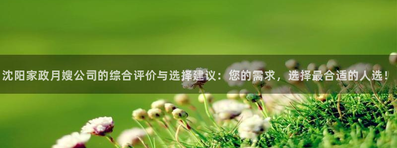 杏悦官方平台官网入口