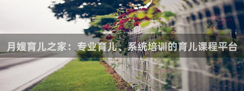 杏悦平台开户地址