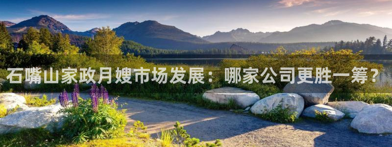 杏悦是什么平台