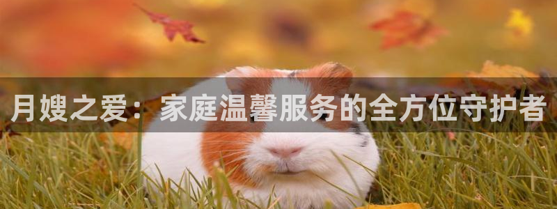 杏悦平台注册地址在哪里