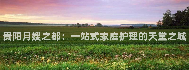 杏悦官方平台是正品吗