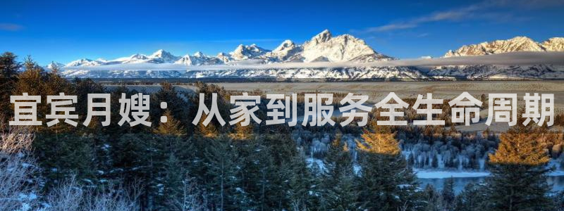 杏悦是什么平台