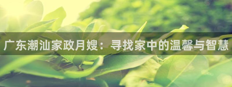 杏悦娱乐是什么