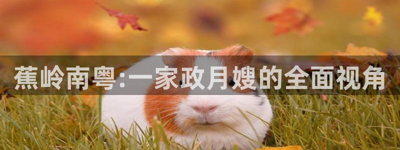 杏悦官网登录入口网址