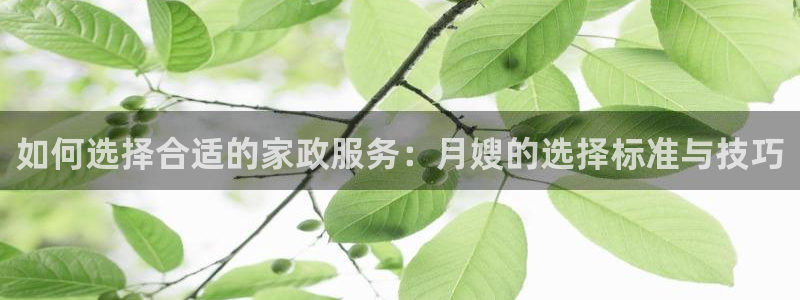 杏悦登录网址
