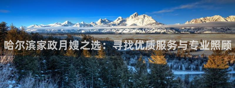 杏悦官方平台