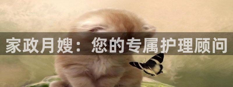 杏悦平台登录网址查询