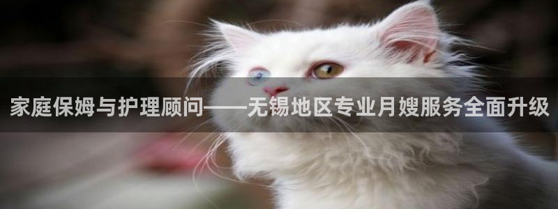 杏悦娱乐注册平台有哪些