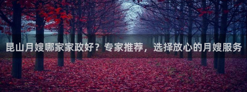 杏悦是什么平台