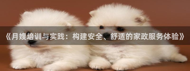 杏悦官方平台官网