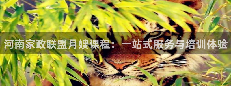 杏悦平台注册要钱吗