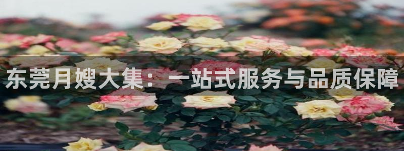 杏悦娱乐注册平台有哪些