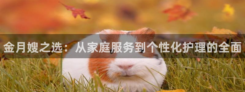 杏悦官网登录入口网址是什么