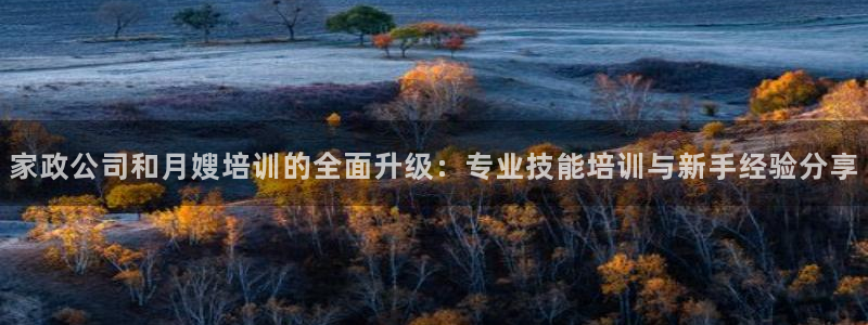 杏悦平台代理怎么做