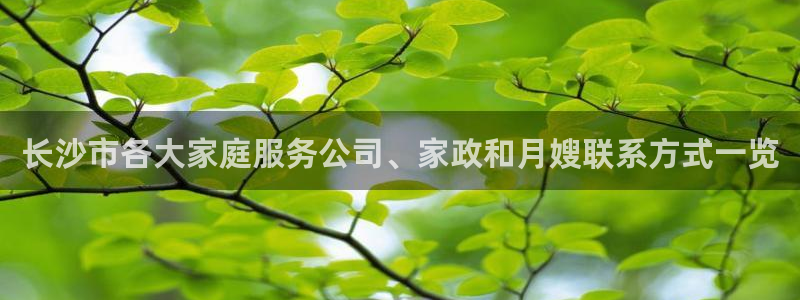 杏悦官网注册信息查询