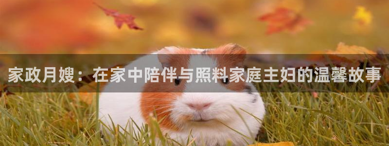 杏悦官网注册信息是什么