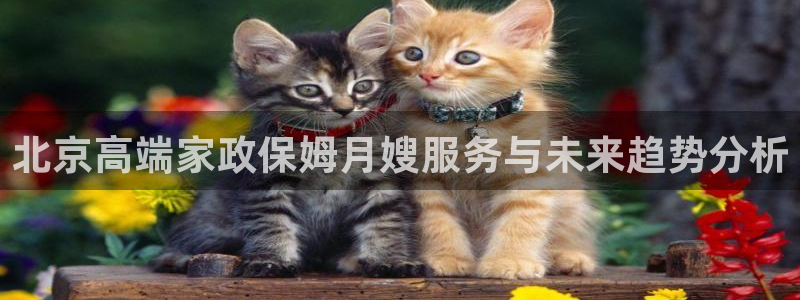 杏悦平台注册流程