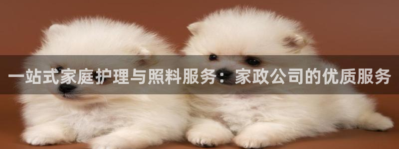 杏悦官网注册信息在哪里查看