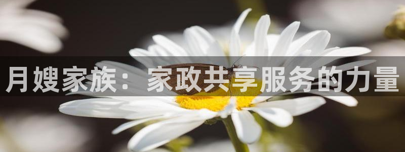 杏悦平台官网注册