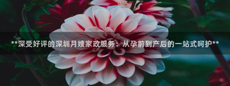 杏悦平台登录网址是什么