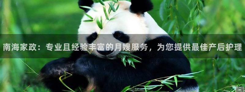 杏悦平台可靠吗可信吗安全吗